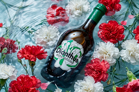 Dianthus